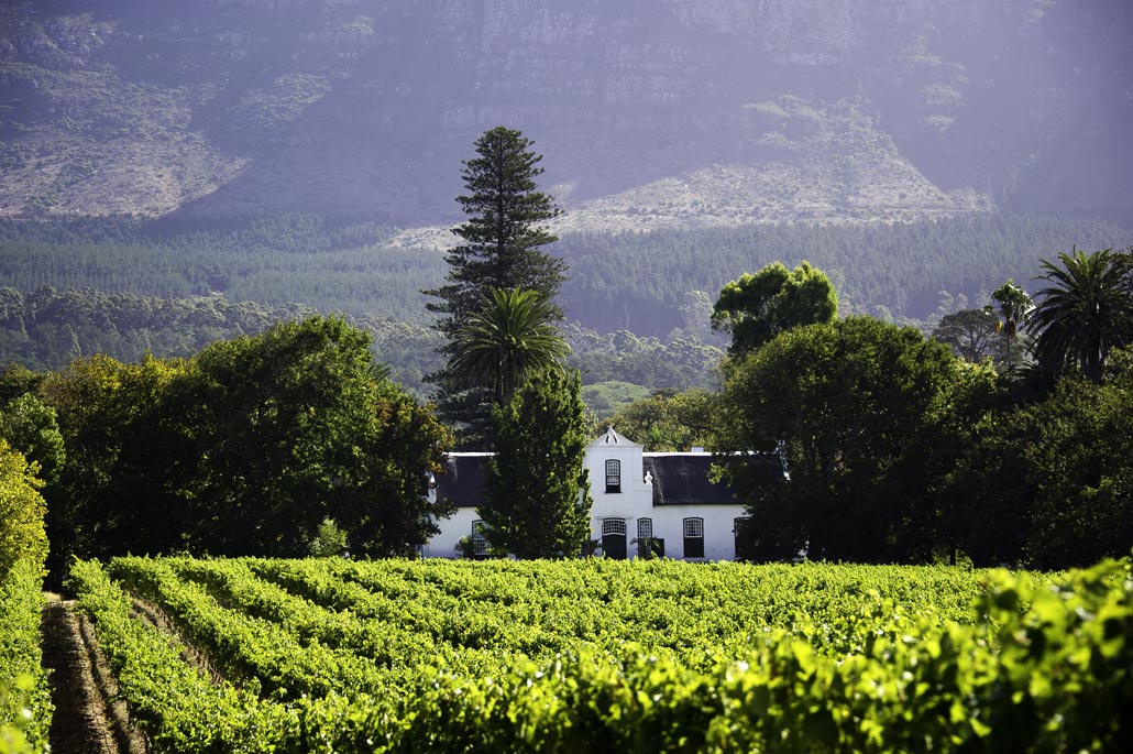 Cape Winelands