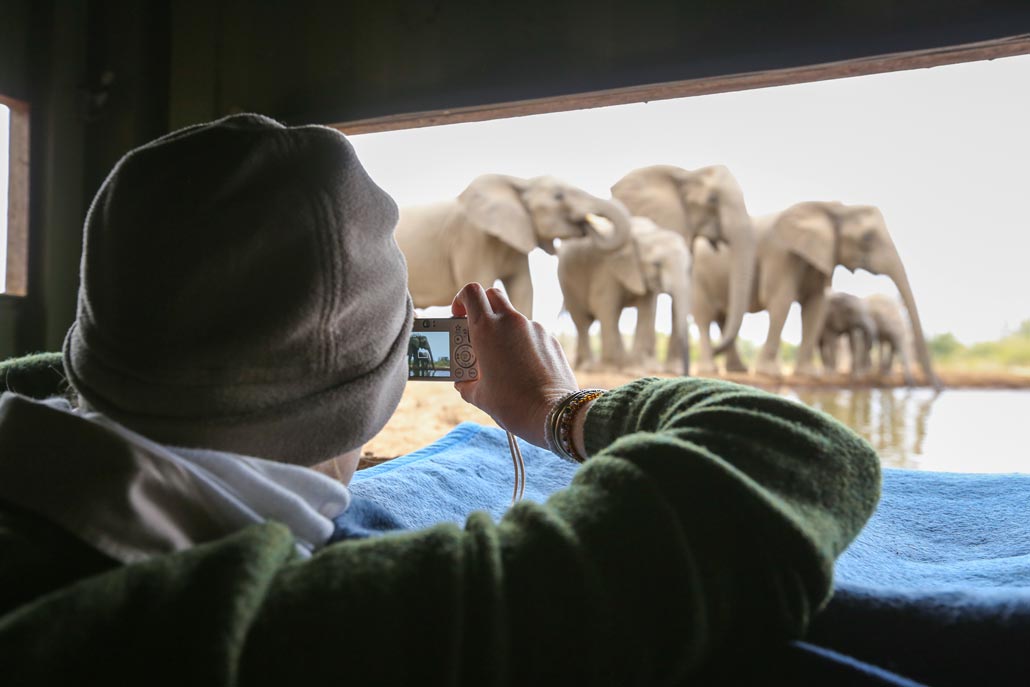 Elephant Hide View