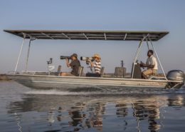 Pangolin Photoboat Safaris