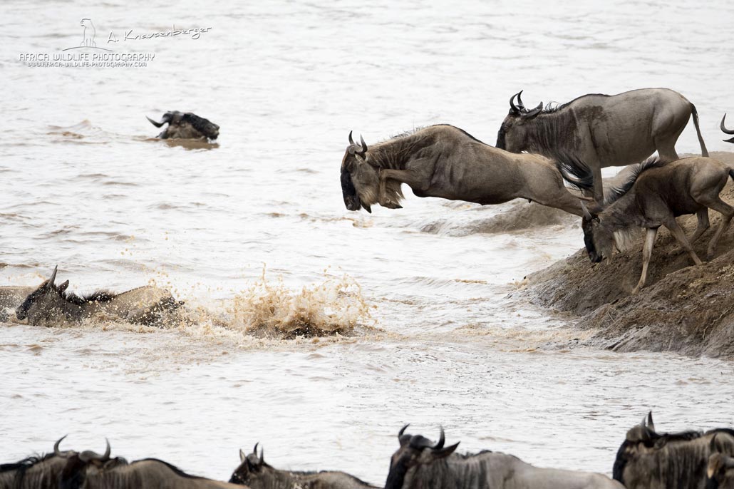 Photographic Opportunities In The Masai Mara