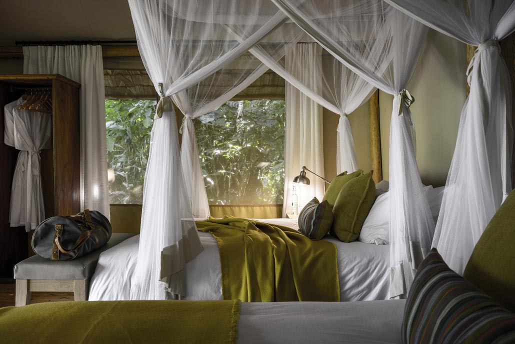 Sanctuary Gorilla Bedroom