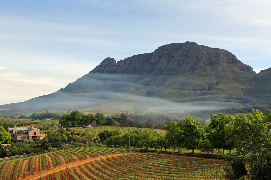 The Beautiful Cape Winelands