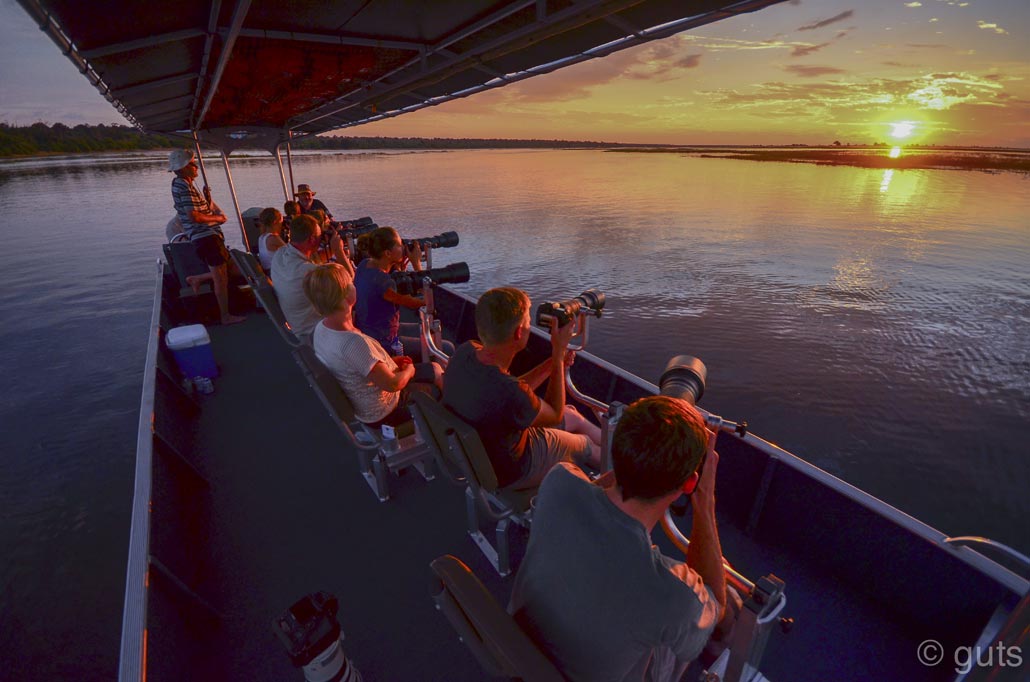 The Pangolin Photo Boat Experiences