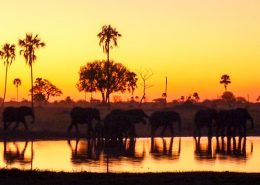 Zimbabwe Sunset